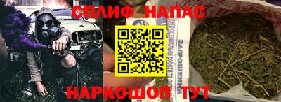 apvp Славгород
