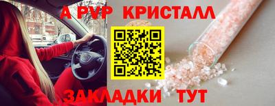 apvp Славгород