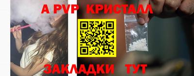 apvp Славгород