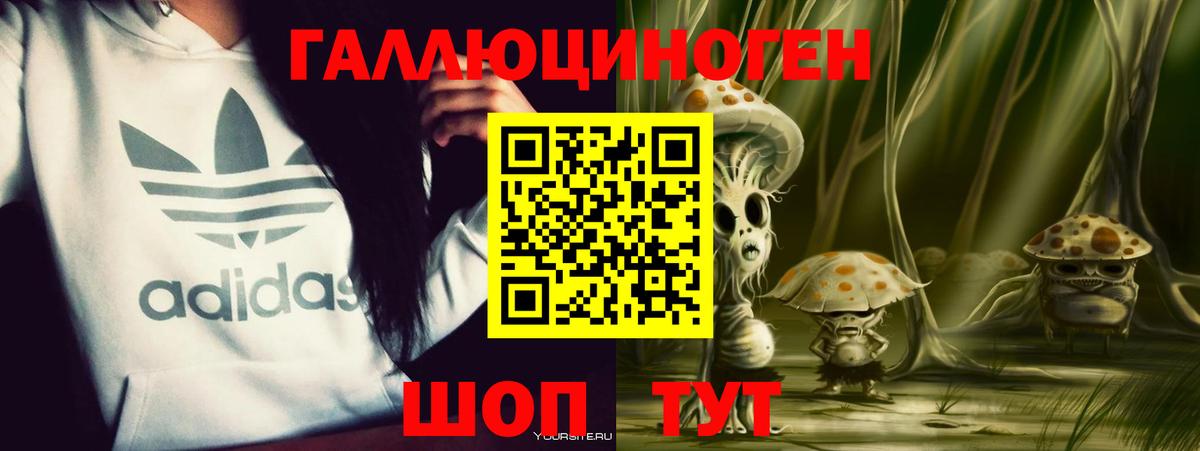 Галлюциногенные грибы Psilocybine cubensis Подольск