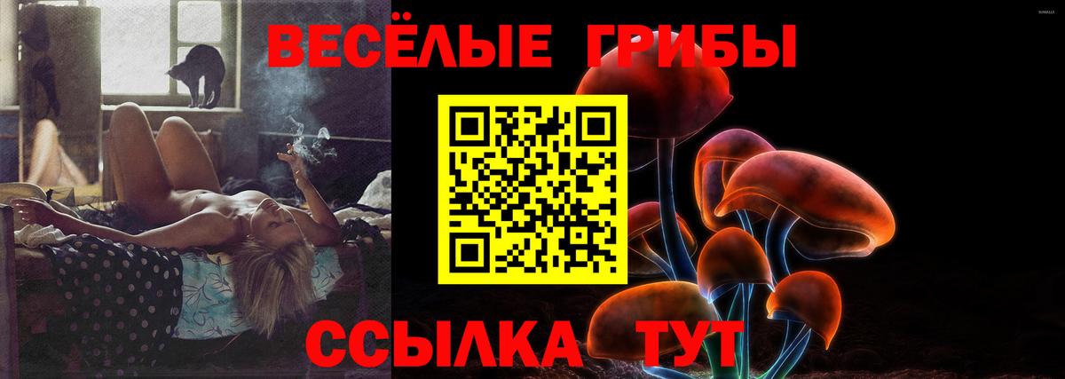 Подольск  Псилоцибиновые грибы Psilocybe  Вход с VPN 